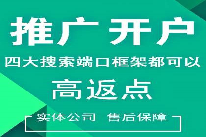 推广竞价策略优化：借鉴经典案例提升效果